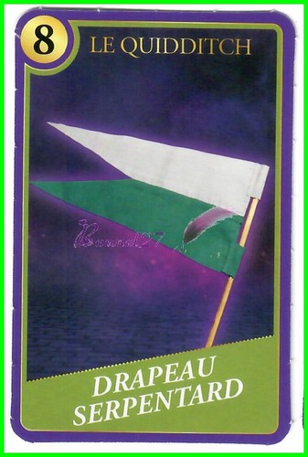 Carte HARRY POTTER ET ANIMAUX FANTASTIQUE Super U 2023 Moments Magiques au choix - Imagen 65 de 81