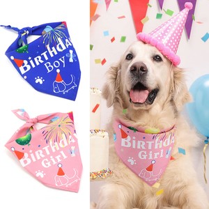 dog birthday scarf