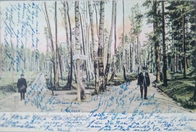 Margarethavägen Tree Path Forest Setting 2 Individuals Stockholm Sweden Ant Pc 