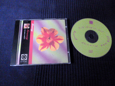 CD Groovy aka Dan Burke of Big City Orchestra Cheer-Accident Extreme Funky House