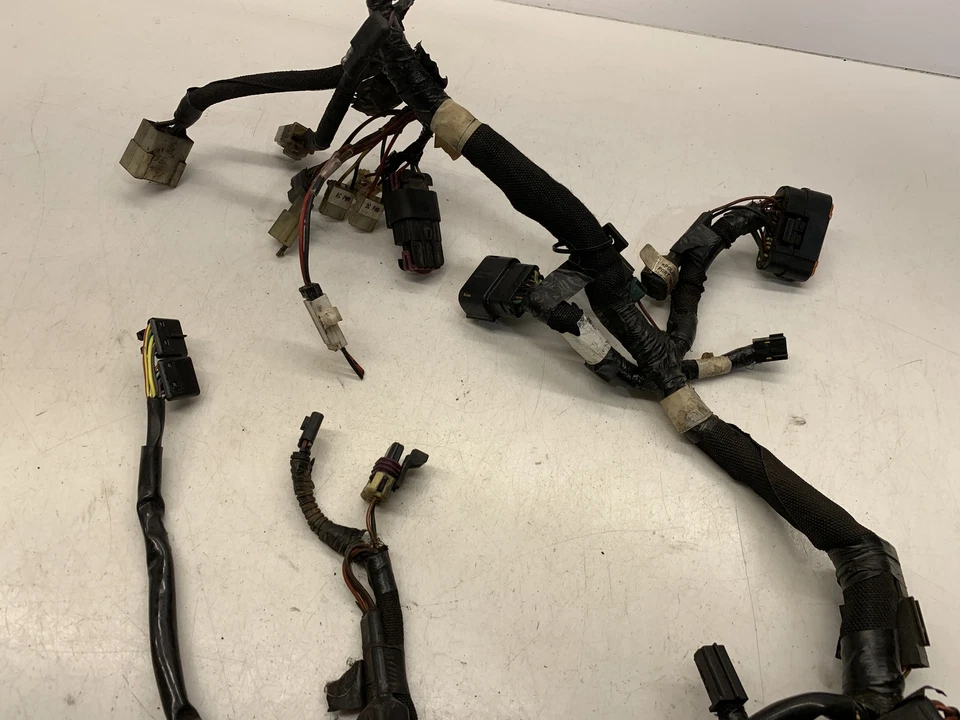 Arnés de cables principal, SDI-2010 Rush 600 - 2010 Polaris 600 Rush Foto 2 de 4