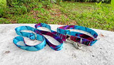 1 inch wide Purple/Teal Martingale Dog Collar and Leash Set - Slip On Martingale