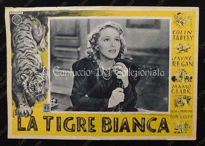 1938 Movie BOOLOO / THE WHITE TIGER Director Clyde E. Elliot Poster 2/12