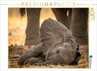Calvendo Puzzle Baby Elephant Sleeping And Well Protected | 1000 Pieces, Finishe