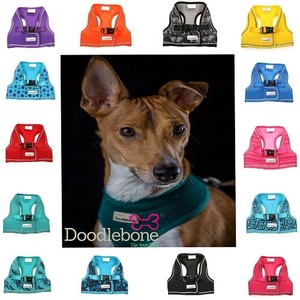 doodlebone snappy harness