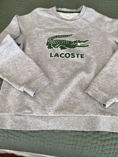 Lacoste boys sweatshirt gray alligator graphic size 14