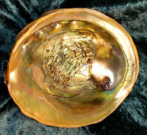 Vintage MCM Retro Red Shell Abalone  Iridescent 3 Lucite Footed Dish Bowl 7 1/2"