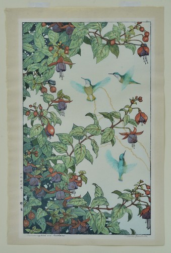 Toshi Yoshida Woodblock Print, Hummingbird and Fuchsia, pencil signed, 1971 - Picture 2 of 3