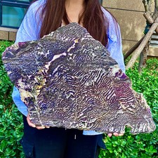 13.91LB  Natural Zebra Jasper Slab - Polished Healing Crystal Display Piece
