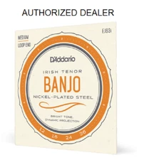 D'Addario EJ63I Irish Tenor Banjo Nickel Medium 12-36 Loop End 