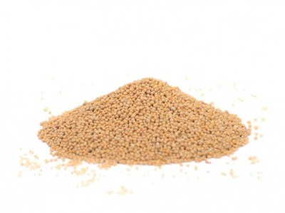 Senfsaat (ganz, hell) - Senf Saat - Senfkörner - gelbe/helle Senfsamen -80g/250g