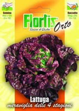 Flortis Graines De Laitue Merveille 4 Saisons