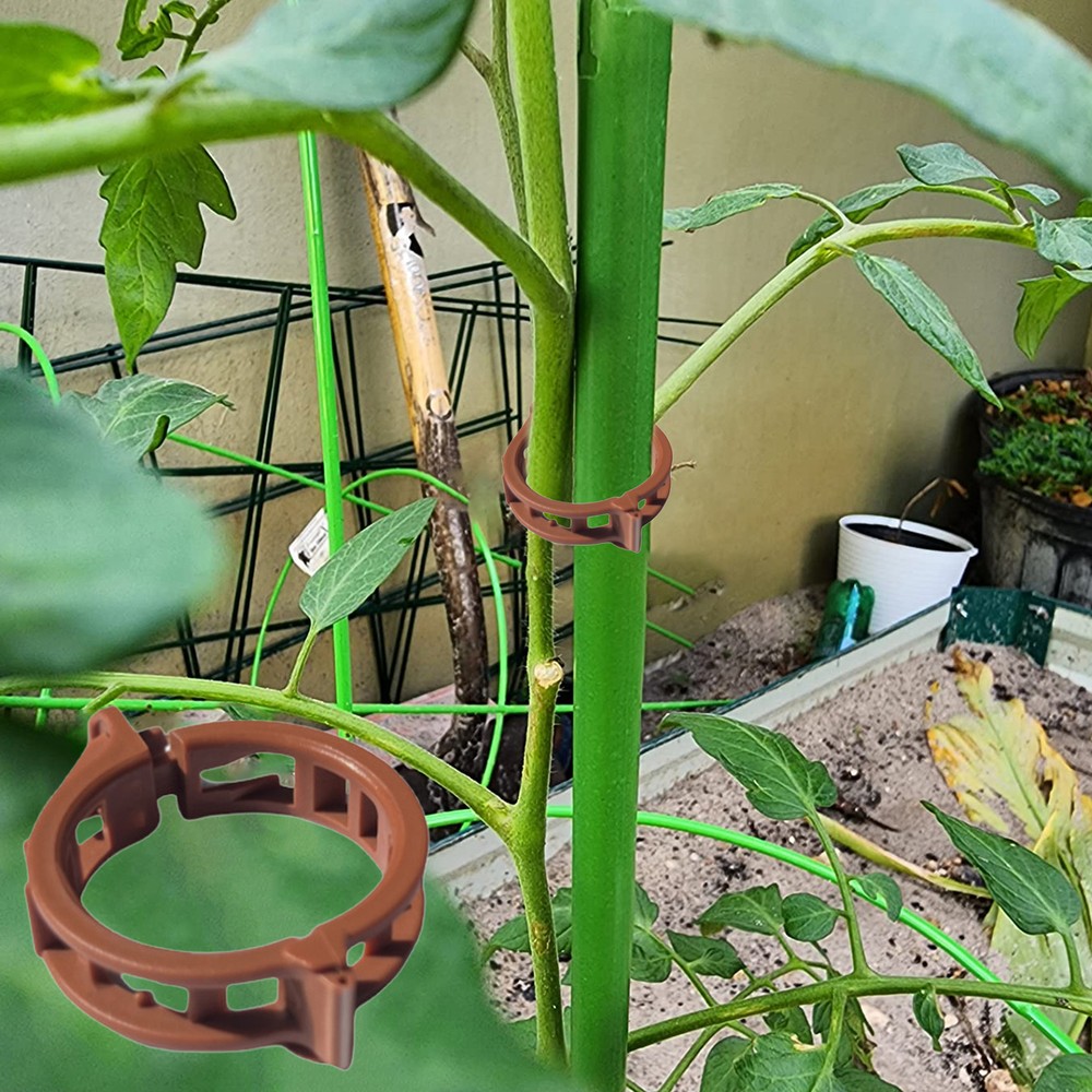 Plant Support Clamps Plant Clips Plant Clips for Plants Vines Garden