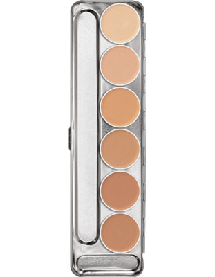 dermacolor concealer