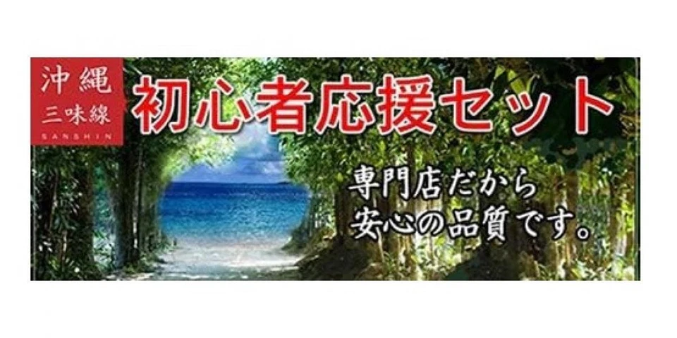 Ryukyu Sanshin With 15 Piece Set for Beginners Okinawa Shamisen Japan Instrument - Image 4 of 4