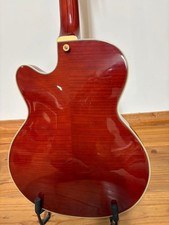 DAngelico Excel 59 Viola Electric Guitar Full Acoustic