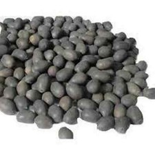 11 Pcs KAMAL GUTTA GATTA LOTUS SEEDS NELUMBO NUCIFERA For Goddess Laxmi - F/S