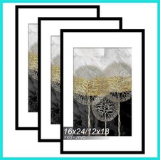 16x24 Picture Frame Set of 3, Display Poster 12x18 with Mat or 16 x 24 Withou...