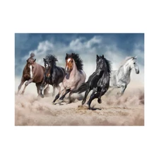 AMAZING PUZZLES 1000 Piece Jigsaw Puzzle 19x27in - Wild Horses