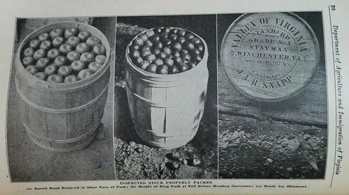 VIRGINIA DEPARTMENT OF AGRICULTURE & IMMIGRATION YEARBOOK 1925 Farming Livestock - Bild 4 von 12