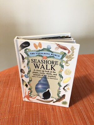 Seashore Walk: A Close-Up Look at the Plants, Rocks...The Unfolding World