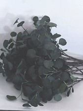 Artificial Eucalyptus Branch Stems (14 Total) 25" Hobby/Lobby Topiary Floral