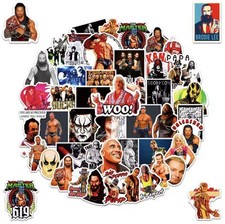 25pc Mix Lot Professional Wrestling Stickers Rock Cena Mascot Decals Slaps