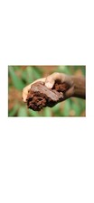 Mason Bee Clay Soil Kit