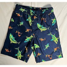 Lands End Swim Trunks Boys Size Large 10-12 Printed Volley