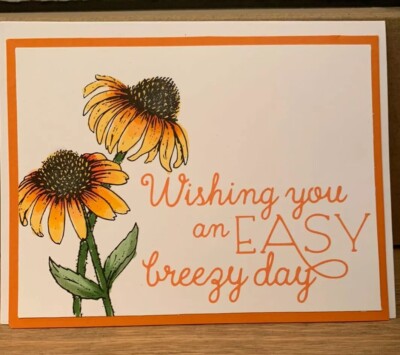 Stampin Up Card Kit Coneflower Orange Copics