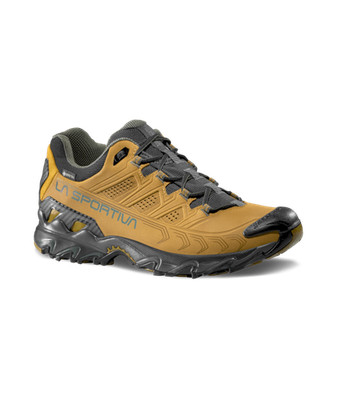 Ultra Raptor II Leather GTX