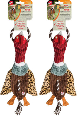 Ducks Mini Skinneeez Tugs Stuffingless Dog Toy, 14'', 1Piece/ Style May Vary, Ass