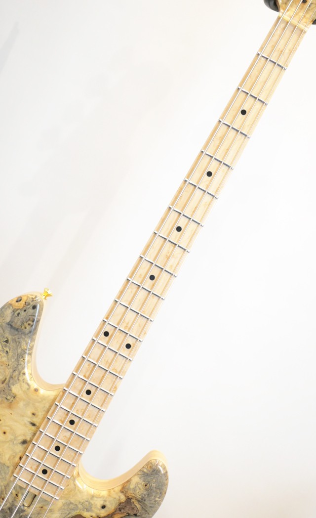 Phoenix Bomber Bass / BB-4 Buckeye Burl TOP & Birdseye Maple F.B