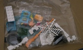 Lego 5838 Belville Witch, Wicked Madam Frost