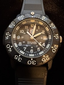Luminox 3900 | eBay