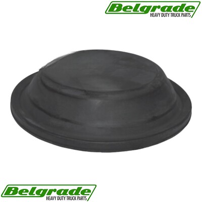 Diaphragm Type 16, 179.DT16, DP16, 234189, 802487