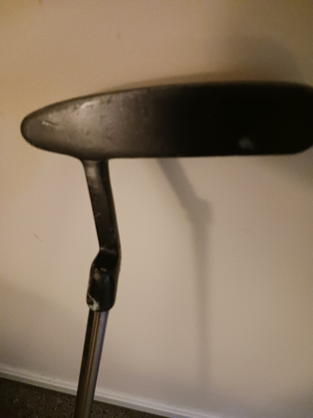 Picture 5 of 5