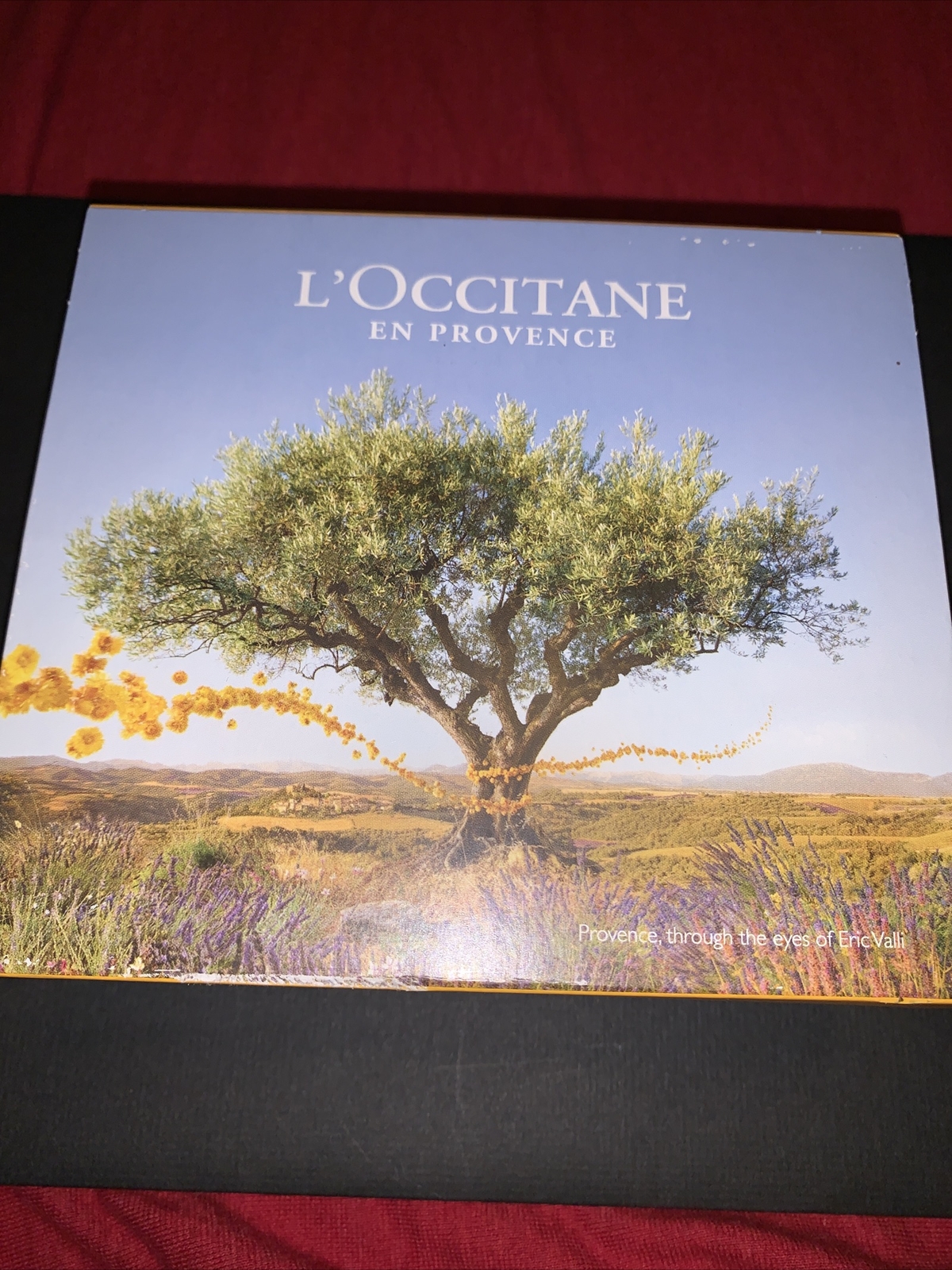 20% Shea Butter Hand Foot Cream Dry Skin L'occitane 5oz 5Free Gift New Dented