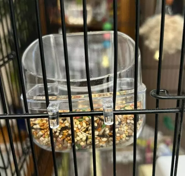 Paquete de 3 tazas de tolva cubiertas de alimentador de jaula para pájaros sin desorden periquito loro Foto 4 de 4