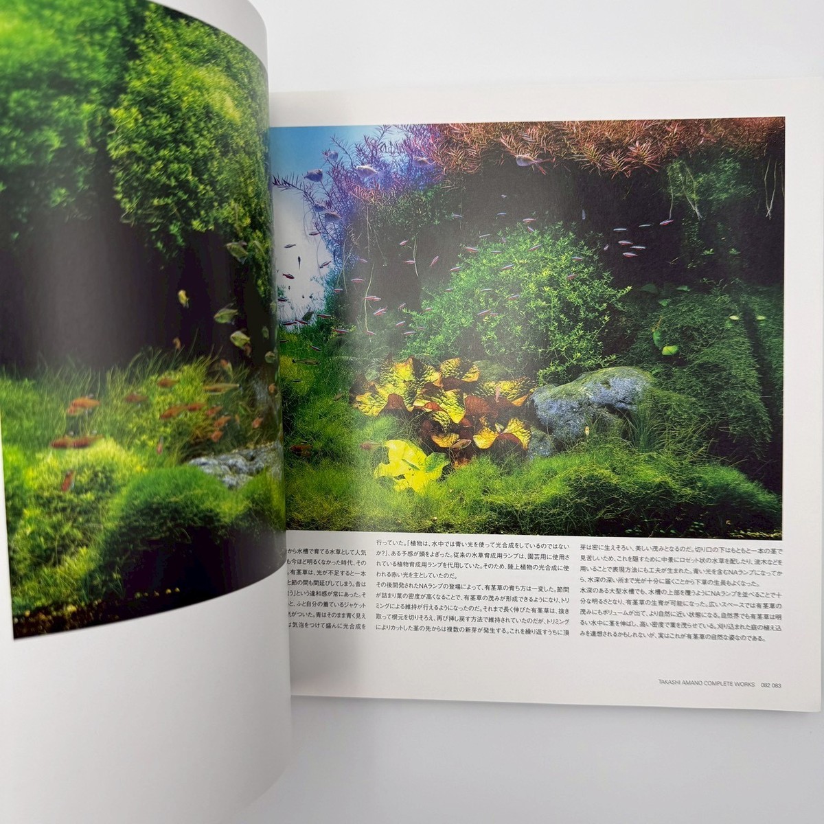 Nature Aquarium Complete Works 1985-2009 Takashi Amano Aquascape
