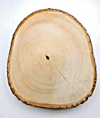 Walnut Hollow Basswood Country Round Thick for Home Decor