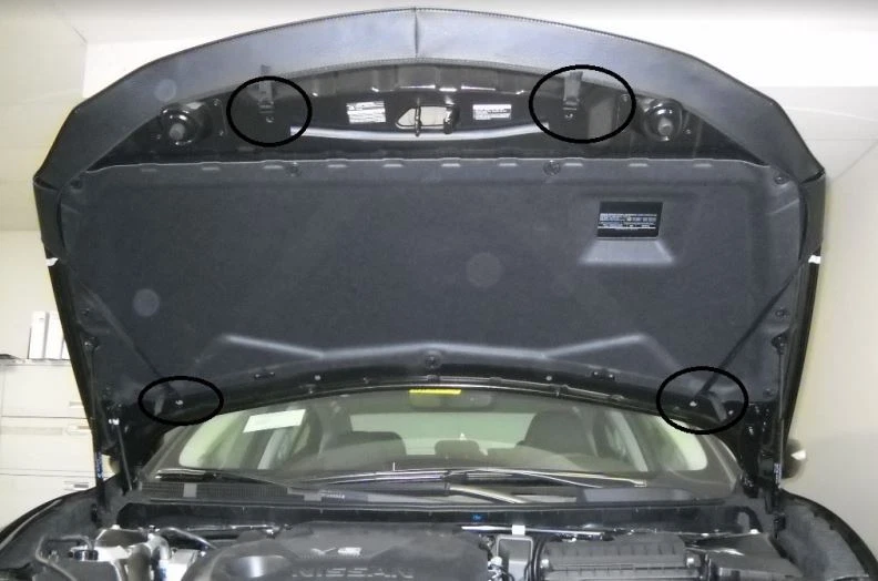 Sujetador con cubierta de máscara frontal Lebra para Nissan Máxima 2016-2018 Foto 4 de 4