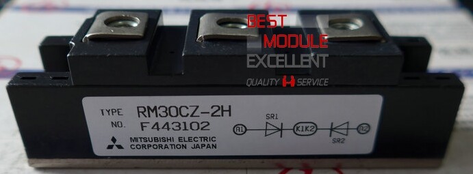 初売り 福袋 1PCS MITSUBISHI RM30CZ-2H power supply module NEW 100 電源ユニット