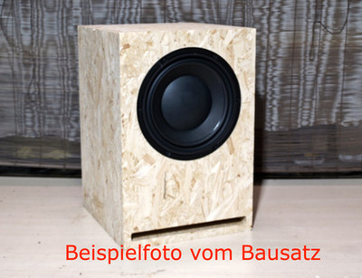 10'' Ary SW26-4 Subwoofer Bausatz + Arylic Endstufe + DSP Software DIY REL SVS