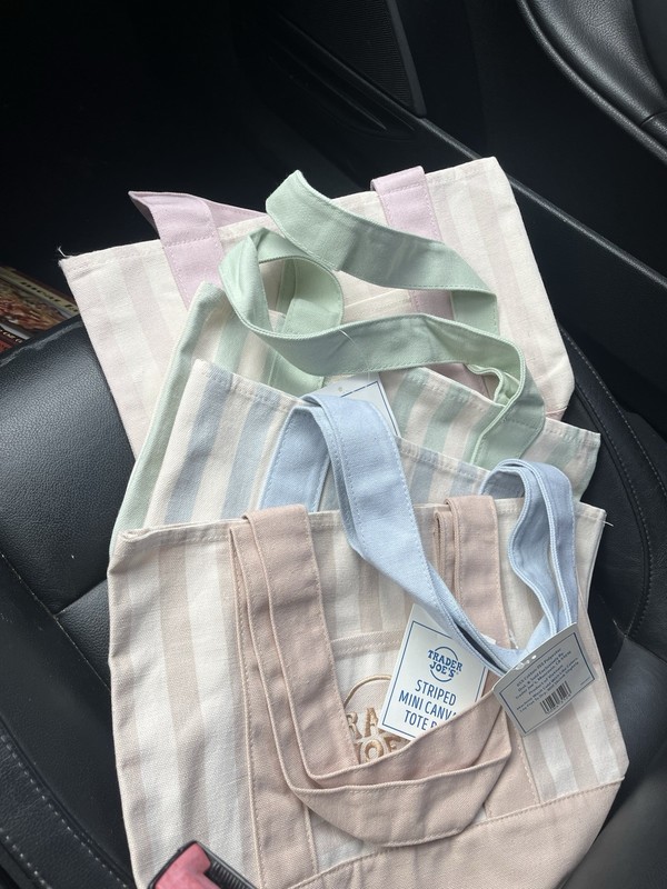 Trader Joe's Mini Striped Canvas Tote Bag Set of 4 Multicolor 13x10x12 in New