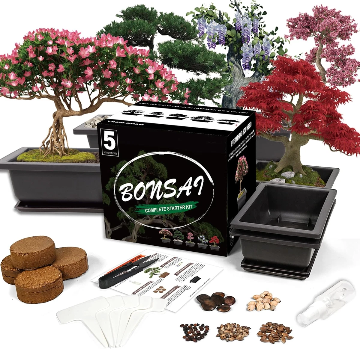 Sakura Tree In Bonsai Trees for sale | eBay
