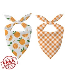 Orange Dog Bandana 2 Pack, Fruit Theme, Adjustable Neckerchief