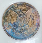 1886 P Morgan  Dollar PCI Mint 65 Monster Toning Overse And Reverse