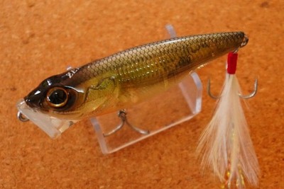 Daiwa T.D. Popper  Zero  1070F      (R160N3