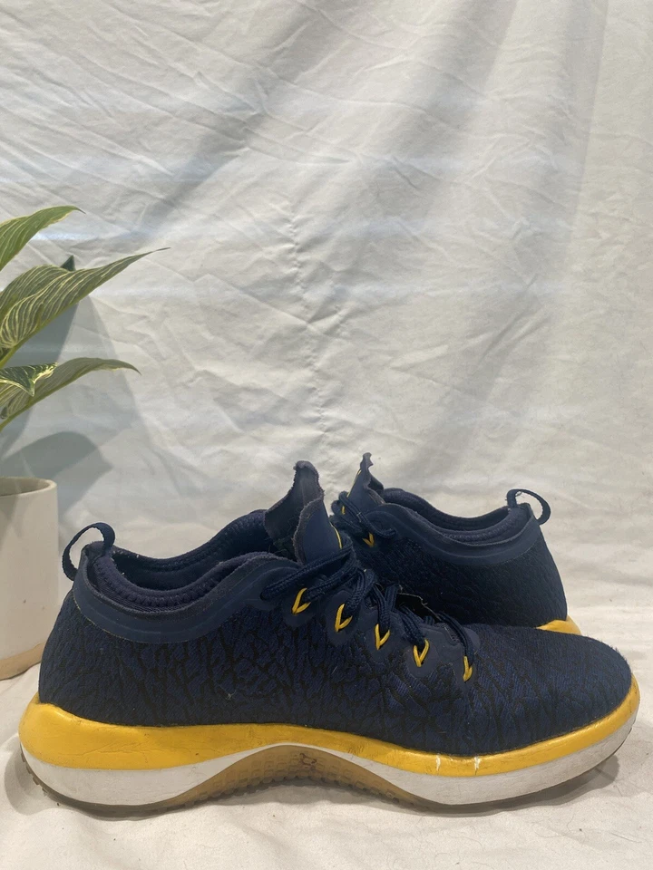 Jordan Trainer 1 Low Michigan Wolverines Talla 10 Foto 4 de 4